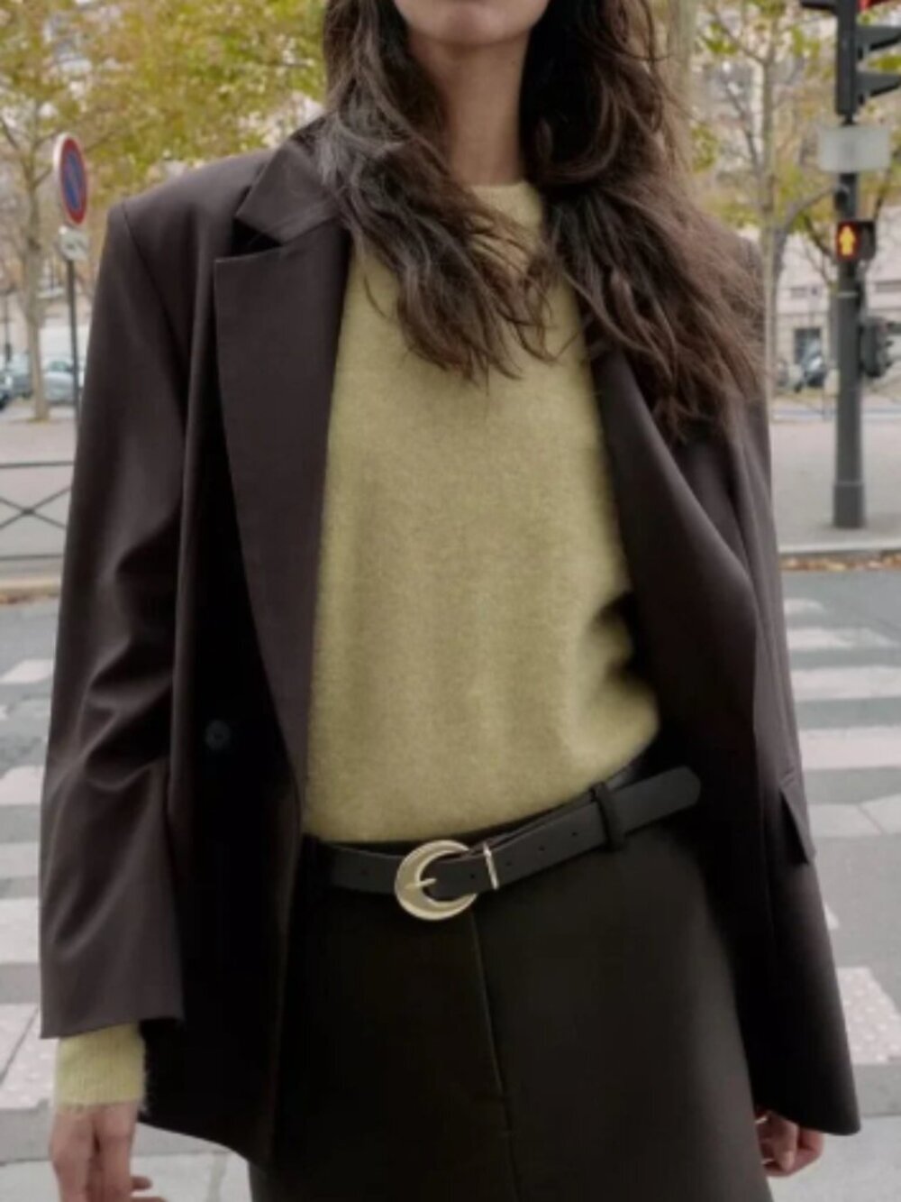 NWT Zara Oversized Double Breasted Blazer Dark Brown Small - Picture 3 of 7